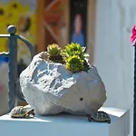 Bed & Breakfast La Mela Blu