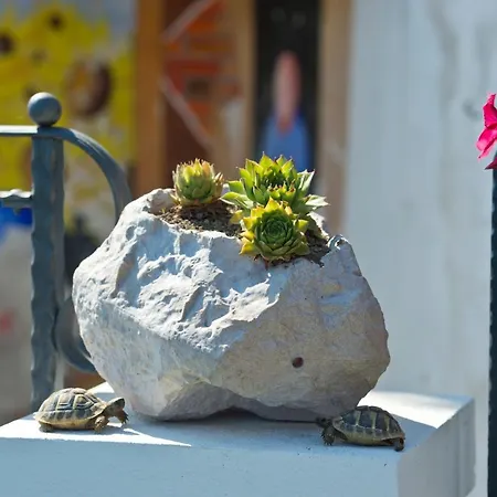 Bed & Breakfast La Mela Blu
